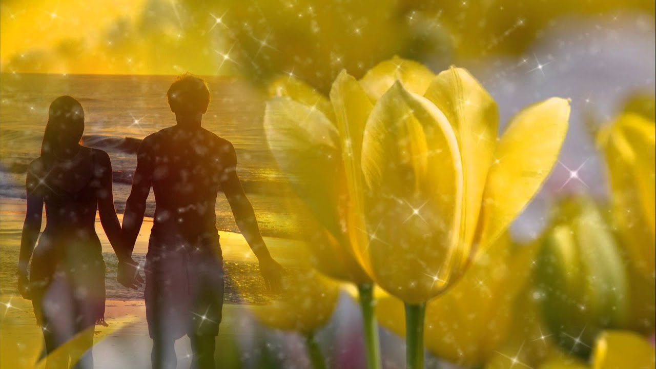 Eric Carmen ♫ I Was Born To Love You ☆ʟʏʀɪᴄ ᴠɪᴅᴇᴏ☆