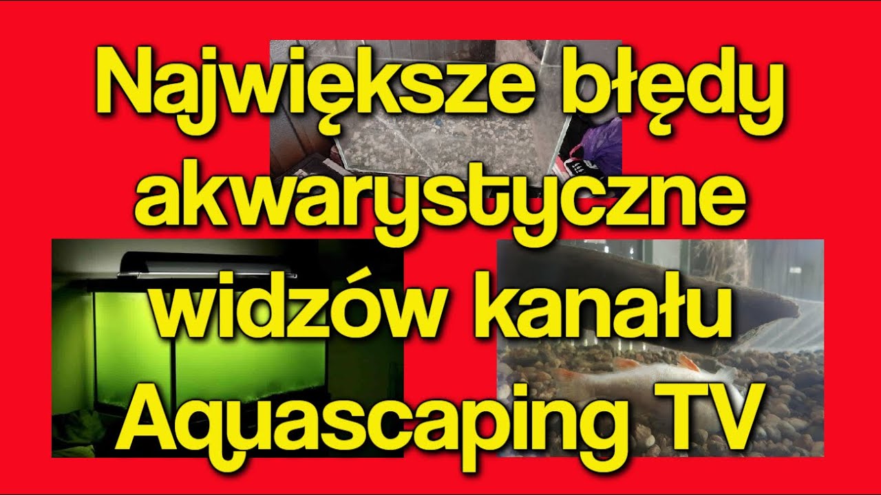 NIEWYBACZALNE BŁĘDY Akwarystyczne!