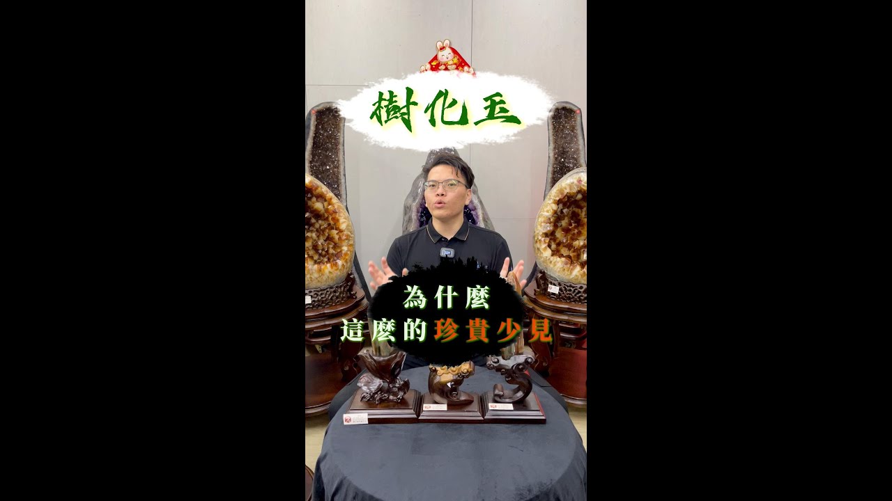 樹化玉為什麼這麼珍貴少見⁉️是化石❓石頭❓還是木頭❓觀龍水晶楊店長帶您了解✨