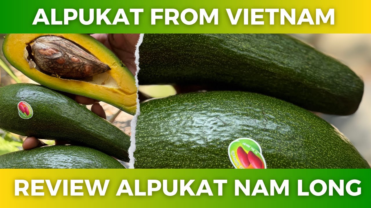 REVIEW ALPUKAT NAM LONG