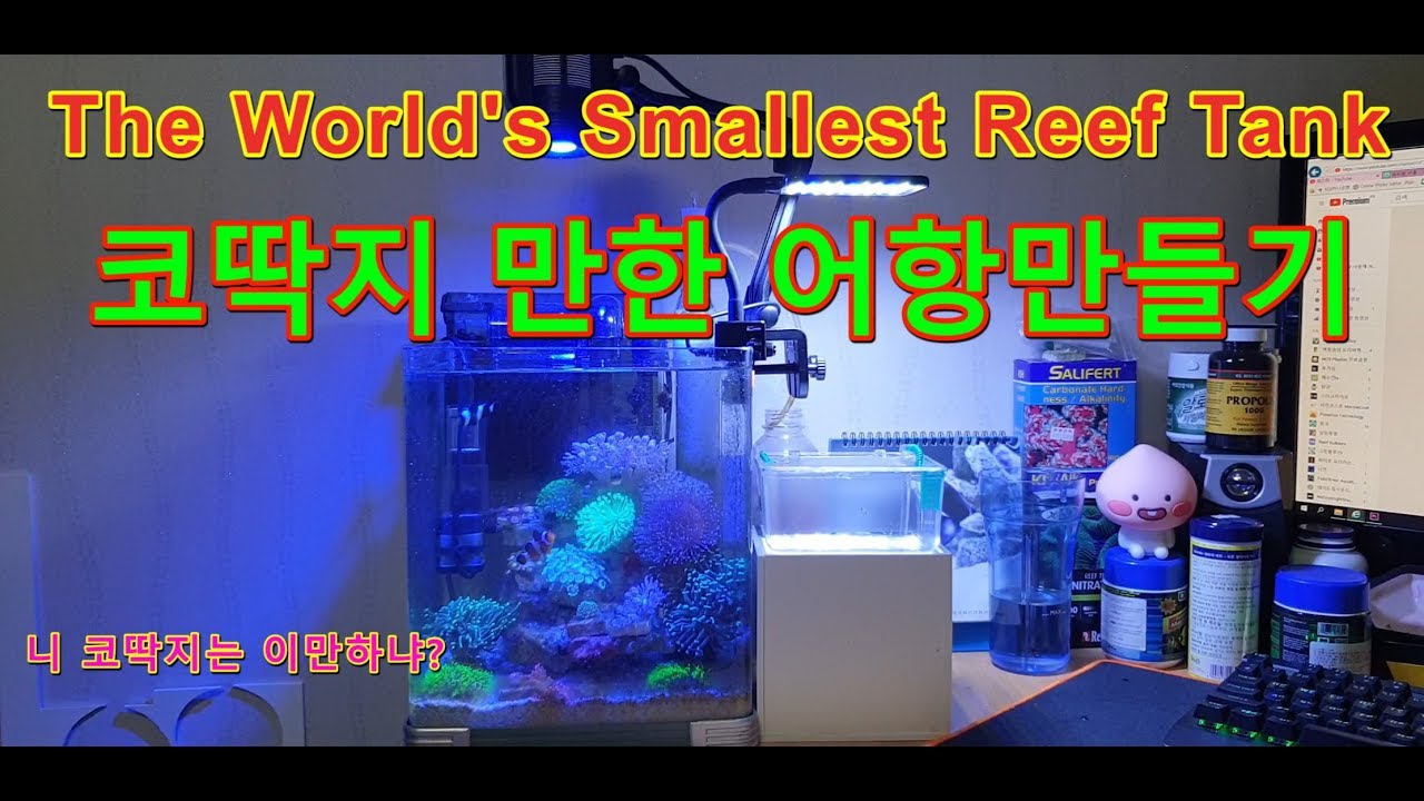 개 작은 해수어항 세팅-이래뵈도 하단섬프 (The World's Smallest Reef Tank)