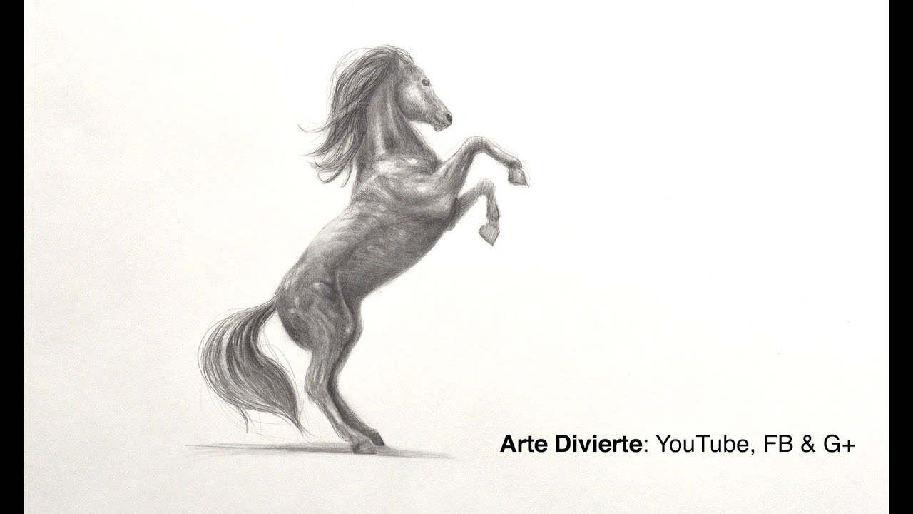 Cómo dibujar un caballo relinchando a lápiz
