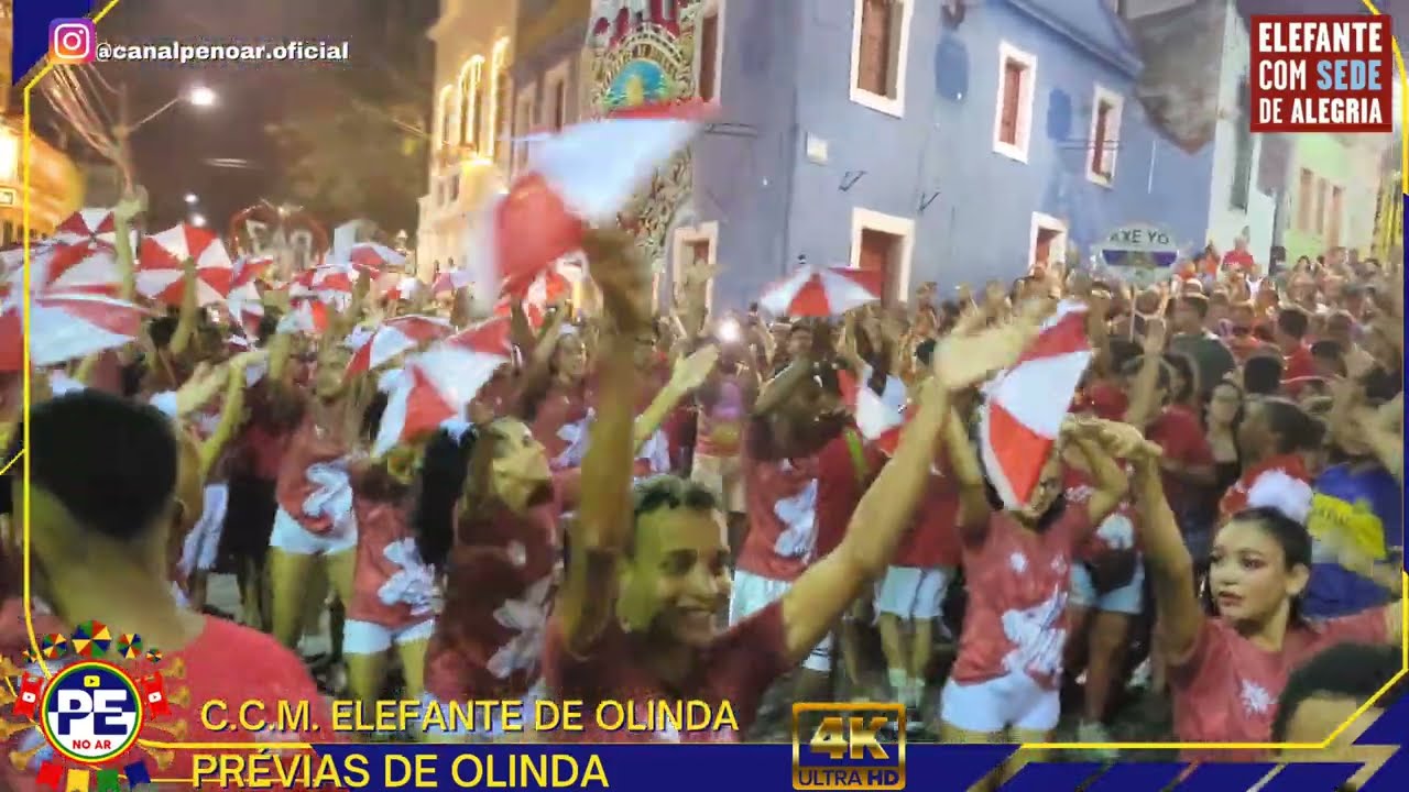 HINO DO ELEFANTE DE OLINDA NOS QUATRO CANTOS | DESFILE NA RUA DO AMPARO COM PASSISTAS, E MUITO FREVO