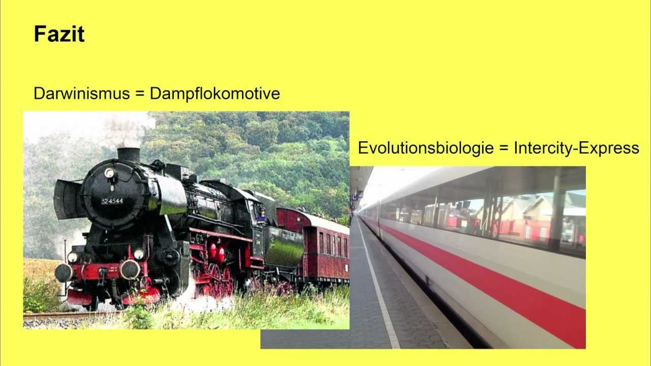 Video 8 - Was sind Evolutionstheorien? [Tatsache Evolution - Was Darwin nicht wissen konnte]
