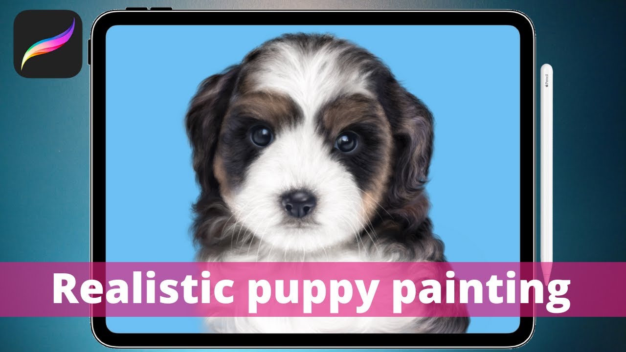 Realistic Dog Portrait // Step By Step Procreate Tutorial