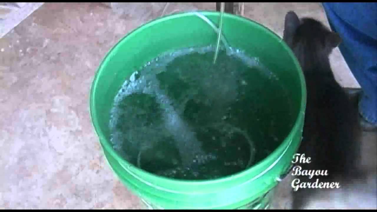 Compost Tea for the vegetable garden -October 2010 -- Growing a vegetable garden