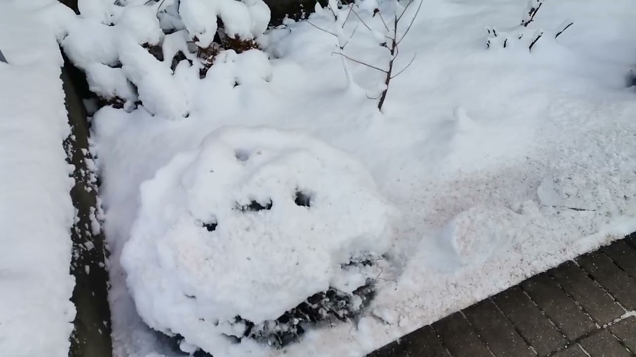 Herrlichstes Winterwetter am 4. Januar 2026