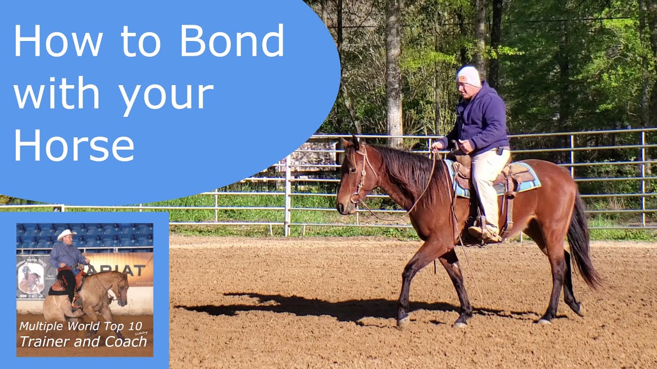 The secret to how to bond with your horse