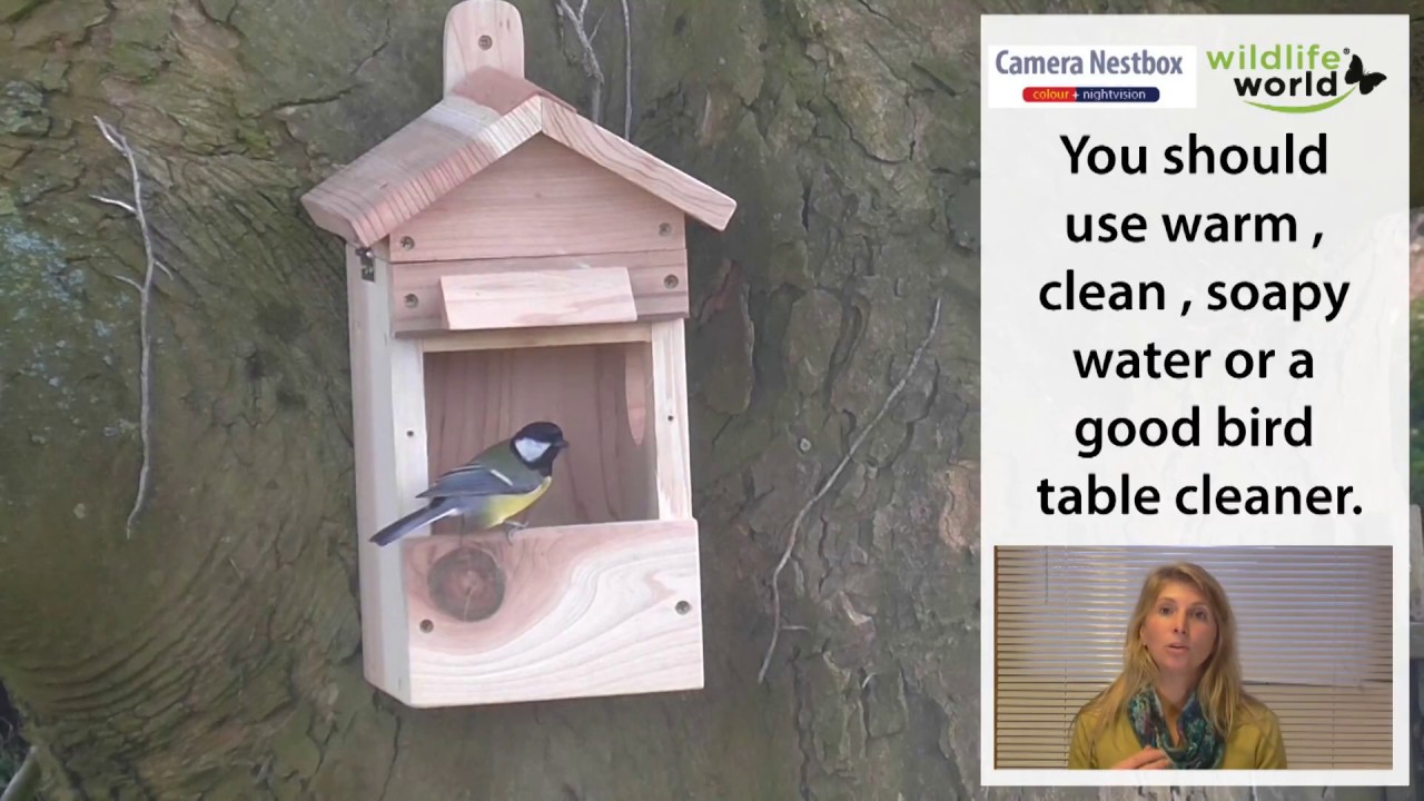 How to Guide: Premium Camera Nest Box System