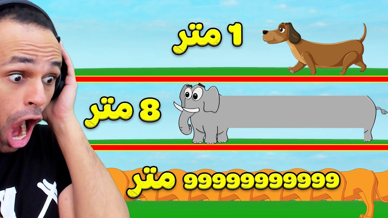 اطول حيوانات في العالم | Animal Run !! 🐘