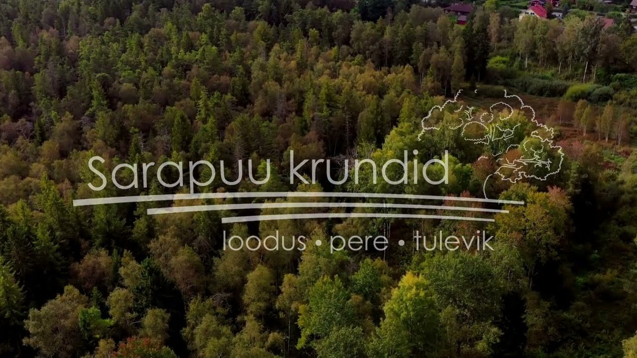 Sarapuu krundid