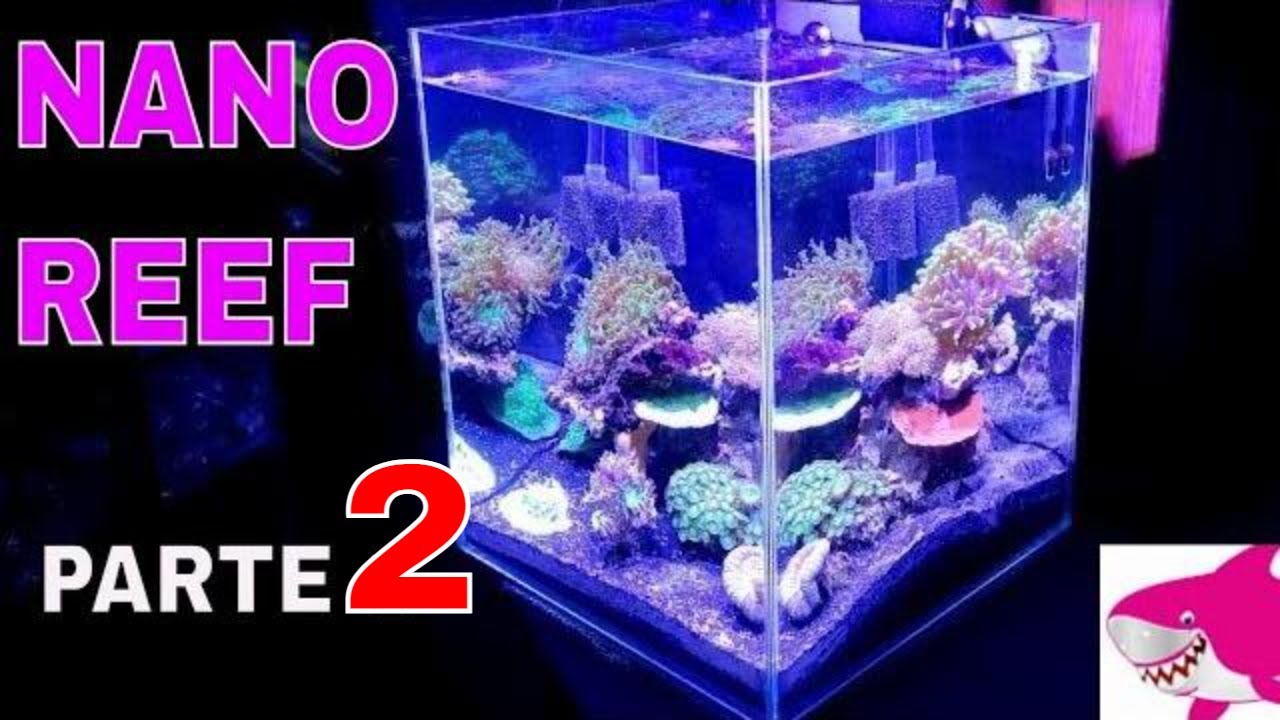 Nano reef 32 litri SENZA SCHIUMATOIO parte 2 by Tropicalmania 😀❤