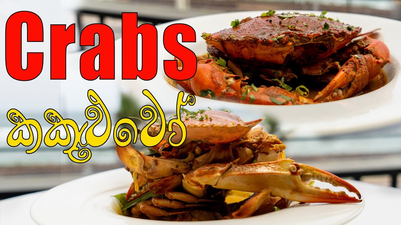 🦀කකුළුවො කන්න හොඳම තැන🦀 best place to eat crabs | Ketam house colombo | crabs and prawns
