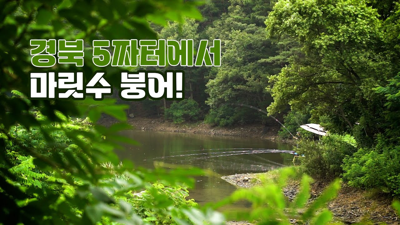 소야405 경북 5짜터에서 마릿수!