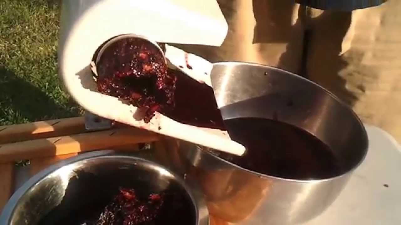 Using a Victorio Food Strainer to process some blackberries