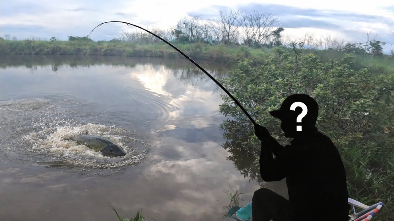 Olha quem veio pescar comigo e pegou um Gigante na lagoa das TILÁPIAS 