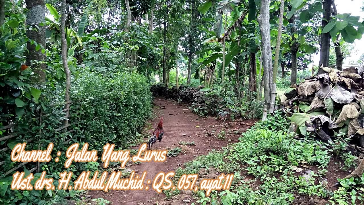 Jalan Yang Lurus : Ust. drs. H. Abdul Muchid : QS. 057, ayat 11