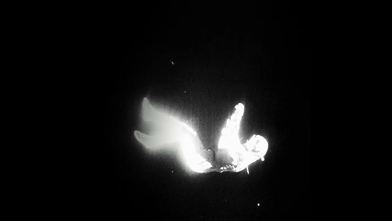 (FREE) PHARAOH x WHITE PUNK x вышел покурить type beat - 'last kiss'