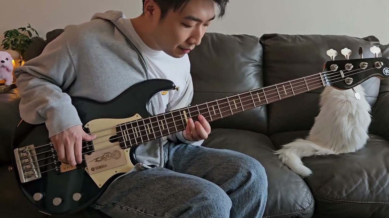 Yamaha BBP35 Bass [Sound Sample]