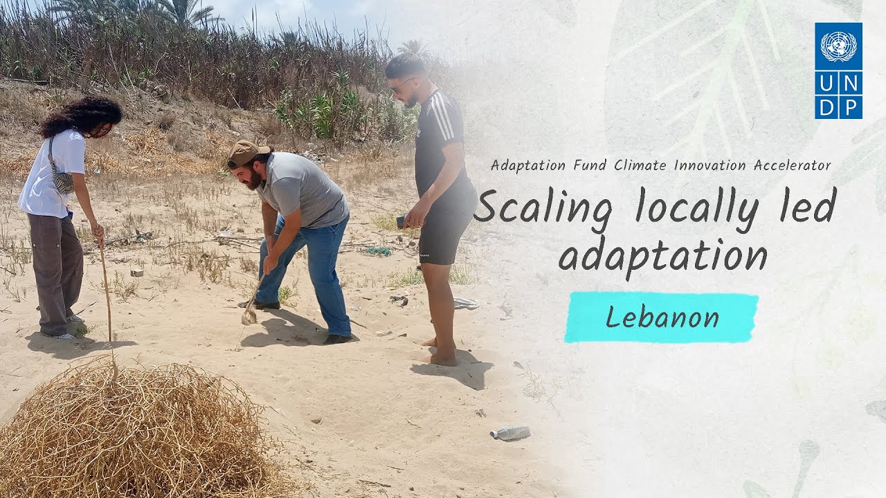 Protecting Lebanon’s coastline through community-led sand dune restoration: Diaries of the Ocean
