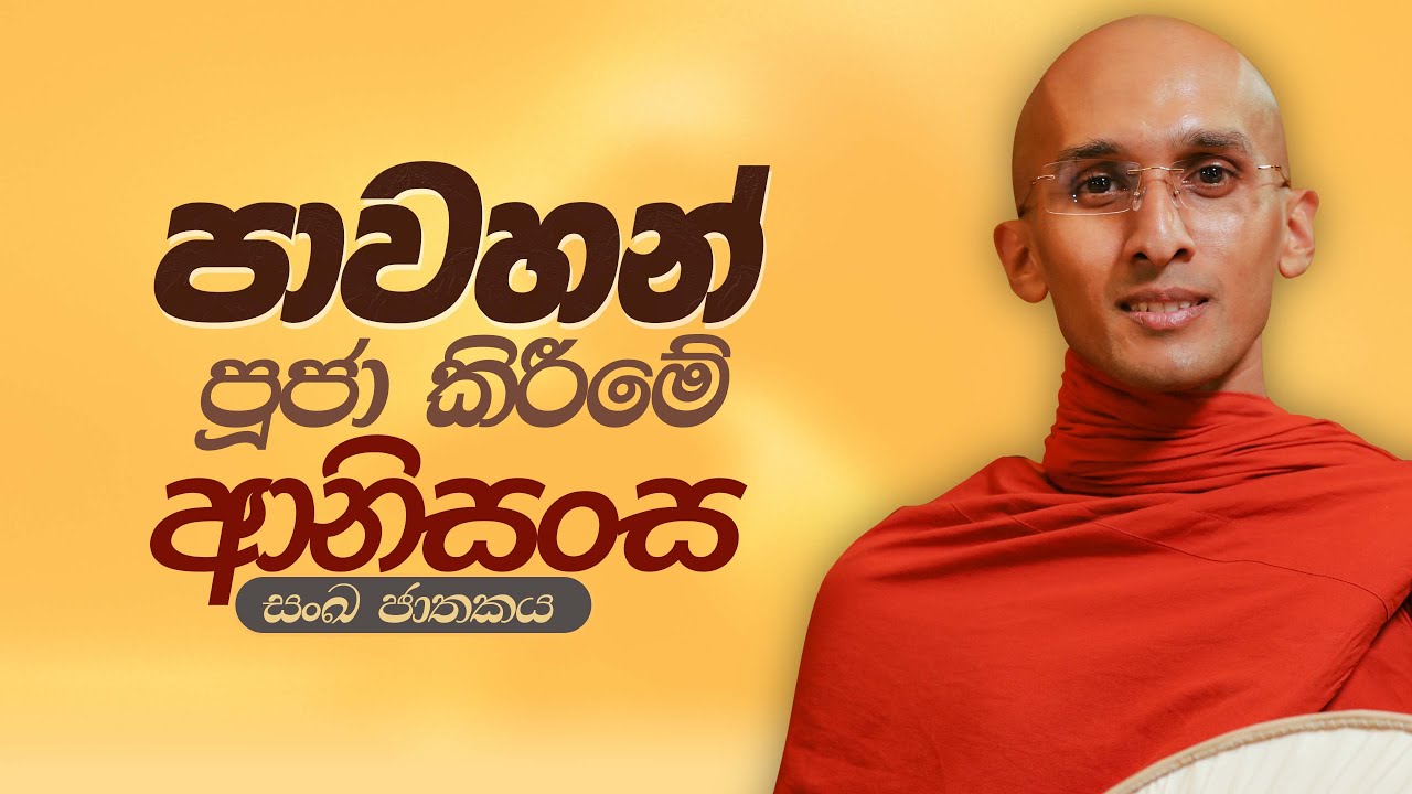 229. පාවහන් පූජා කිරීමේ ආනිසංස | සංඛ ජාතකය | 2024-01-11