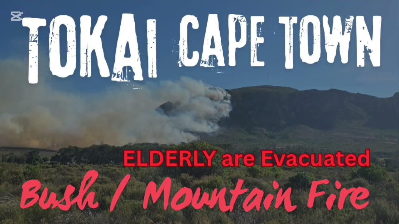 Tokai Mountain Fire | ELDERLY EVACUATED | Vehicles LOST | CAPE TOWN | SOUTH AFRICA