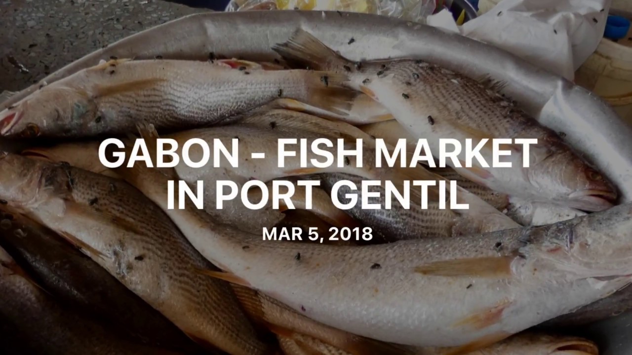 Gabon - Port Gentil FishMarkets