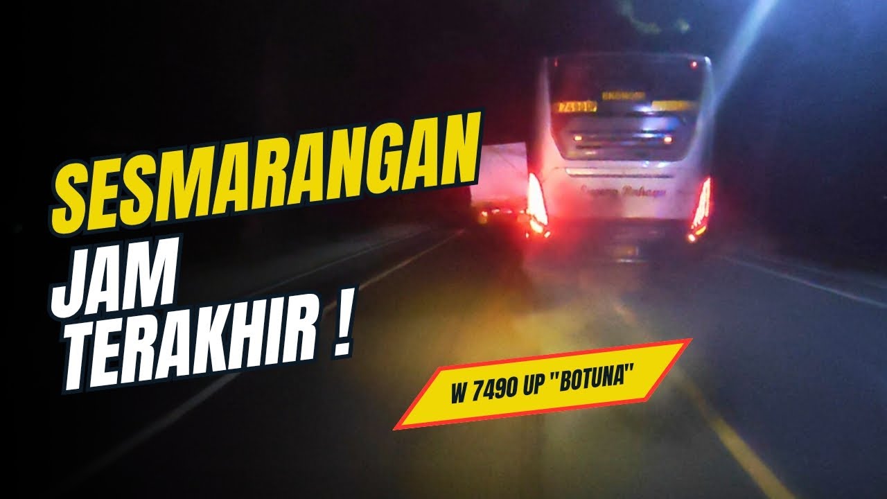 THE REAL CUMI DARAT ‼️ #W7490UP #sumbergroup #busmania #busjatim