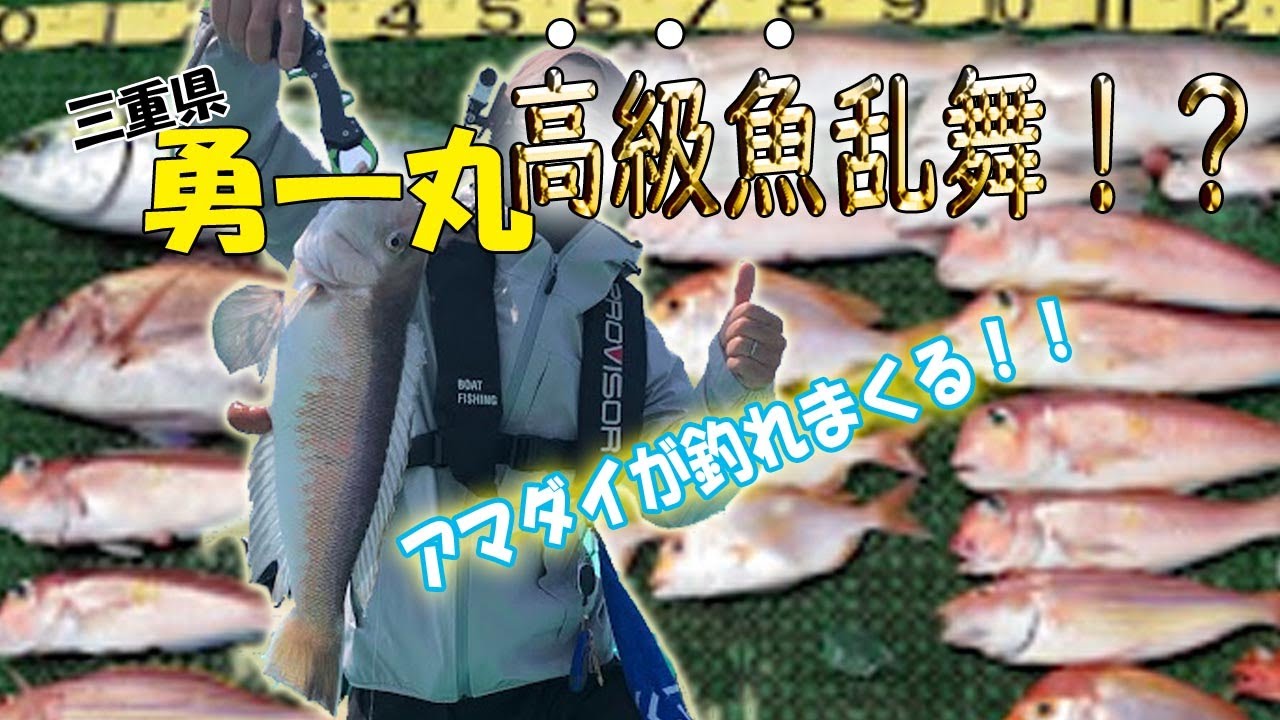 高級魚アマダイを釣る!三重県 神前浦 勇一丸！白甘鯛を筆頭に魚種多数！本当は教えたくない穴場の釣り船！アマダイ釣り・甘鯛釣り