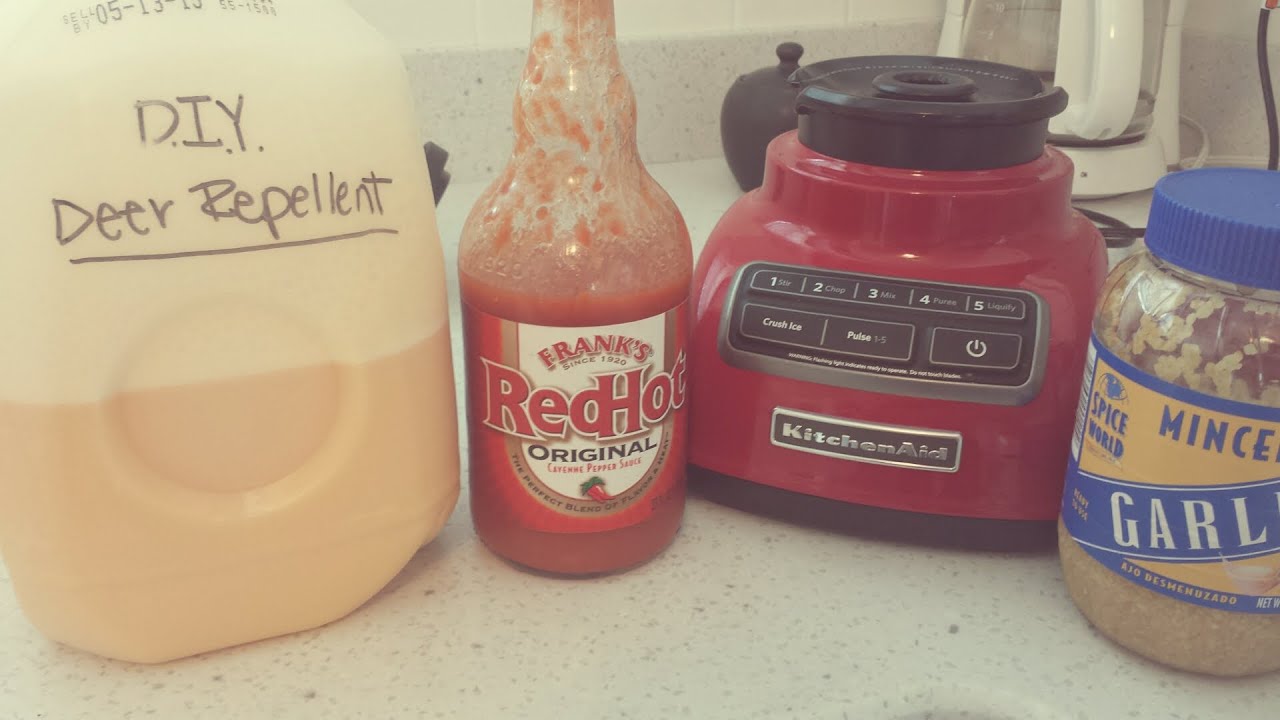 DIY Deer Repellent I Homemade
