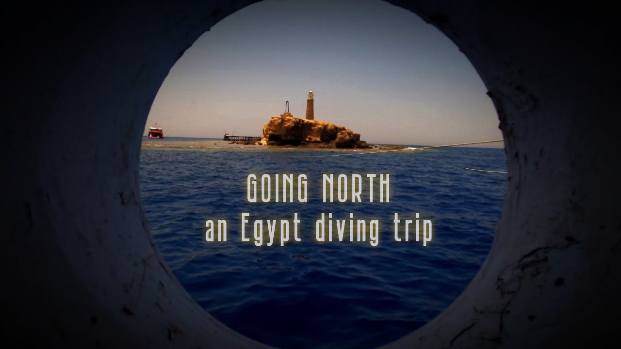 Tauchen in Ägypten: Going North