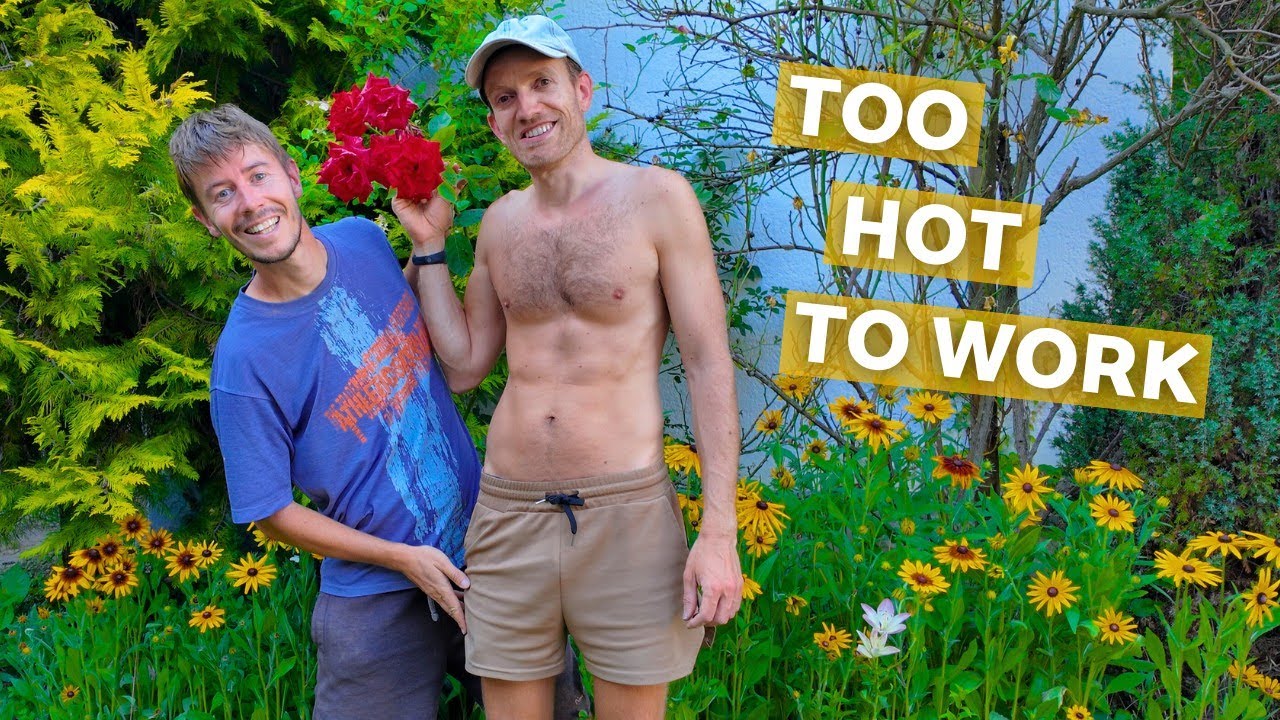 We should slow down (Summer heat in our garden) | Life on a small farm in Central Europe