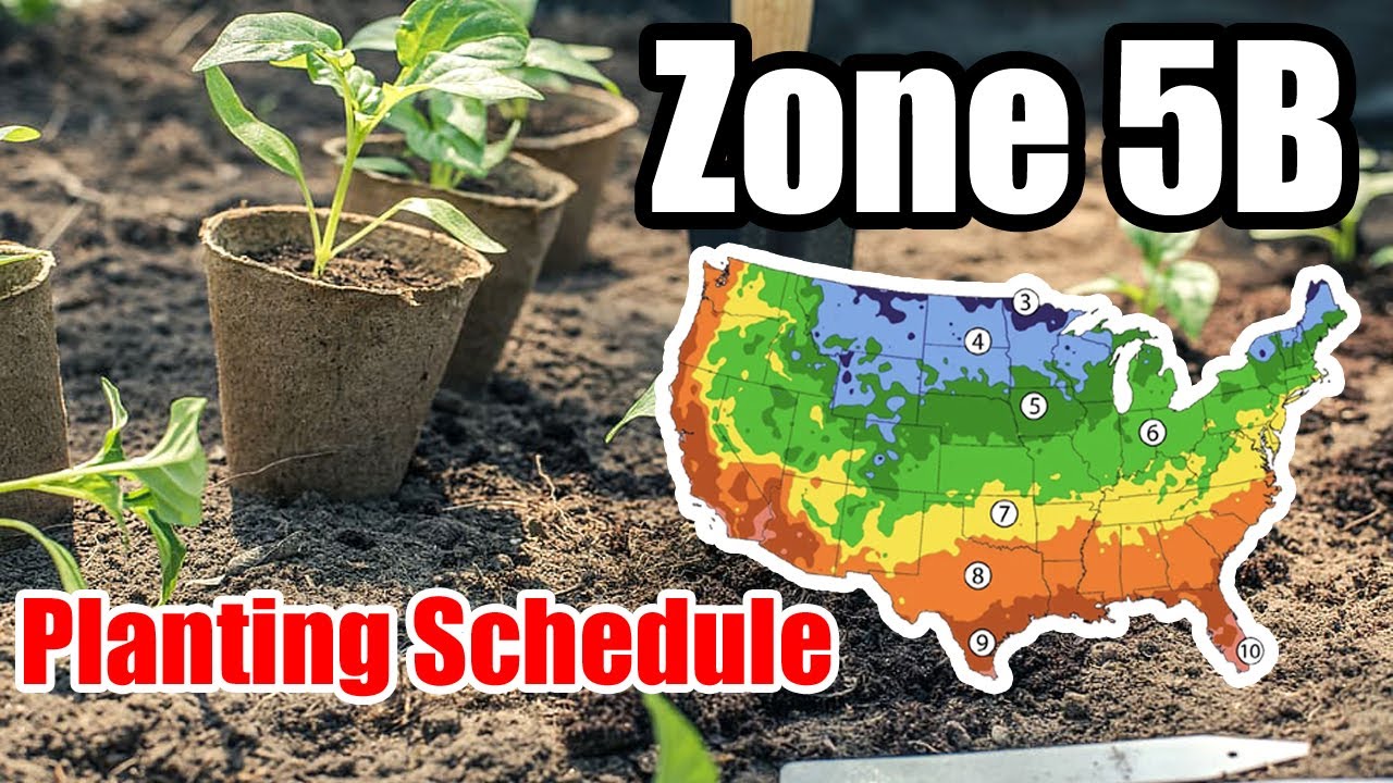 Year-Round Planting Schedule for Zone 5b: Maximize Your Garden's Potential