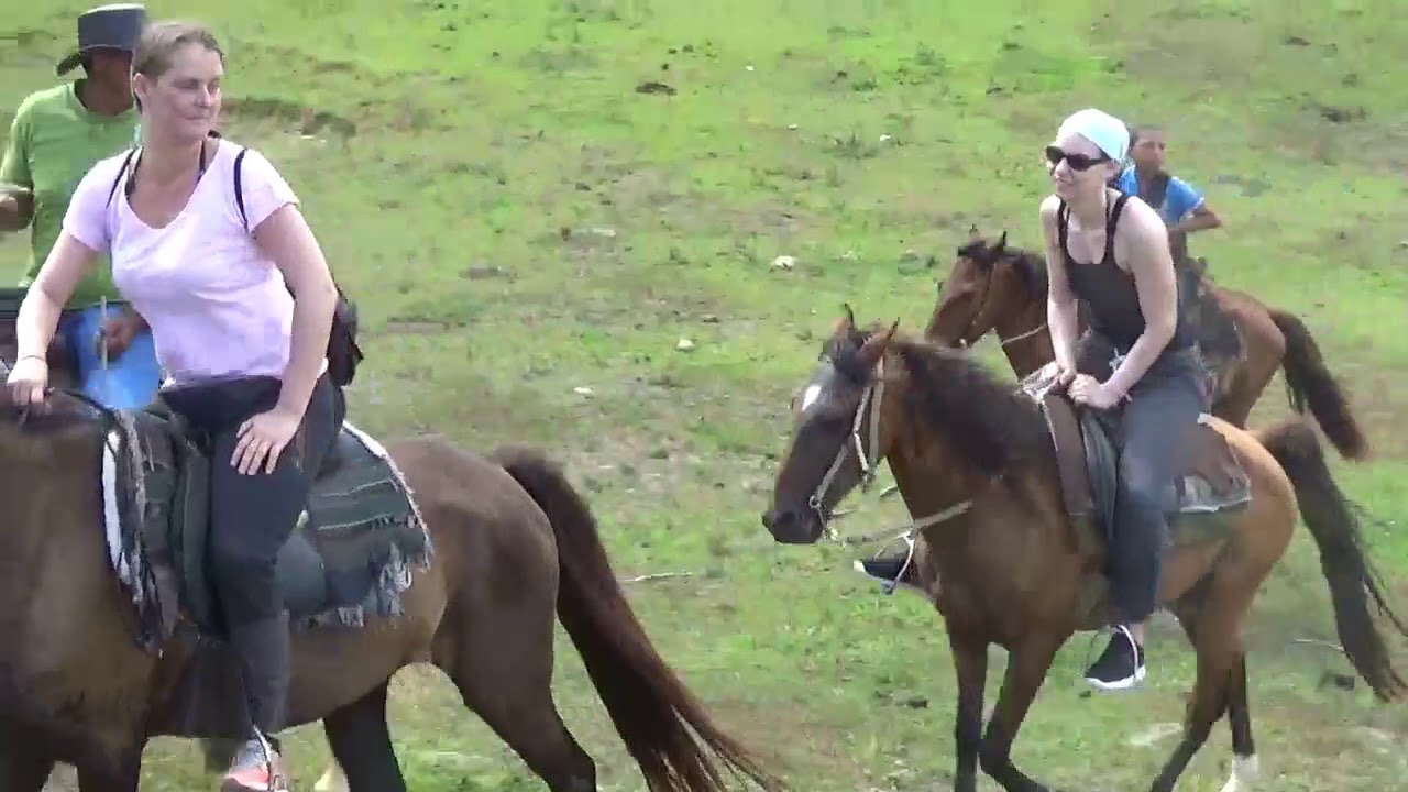 Ein Tag mit uns auf dem Pferd - Reitausflug 