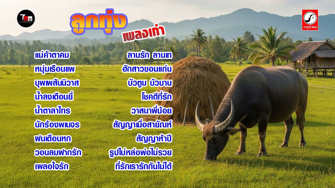ลูกทุ่งเพลงเก่า | แม่ค้าตาคม | เผลอใจรัก | บัวตูม บัวบาน | ThaiModernMusic |