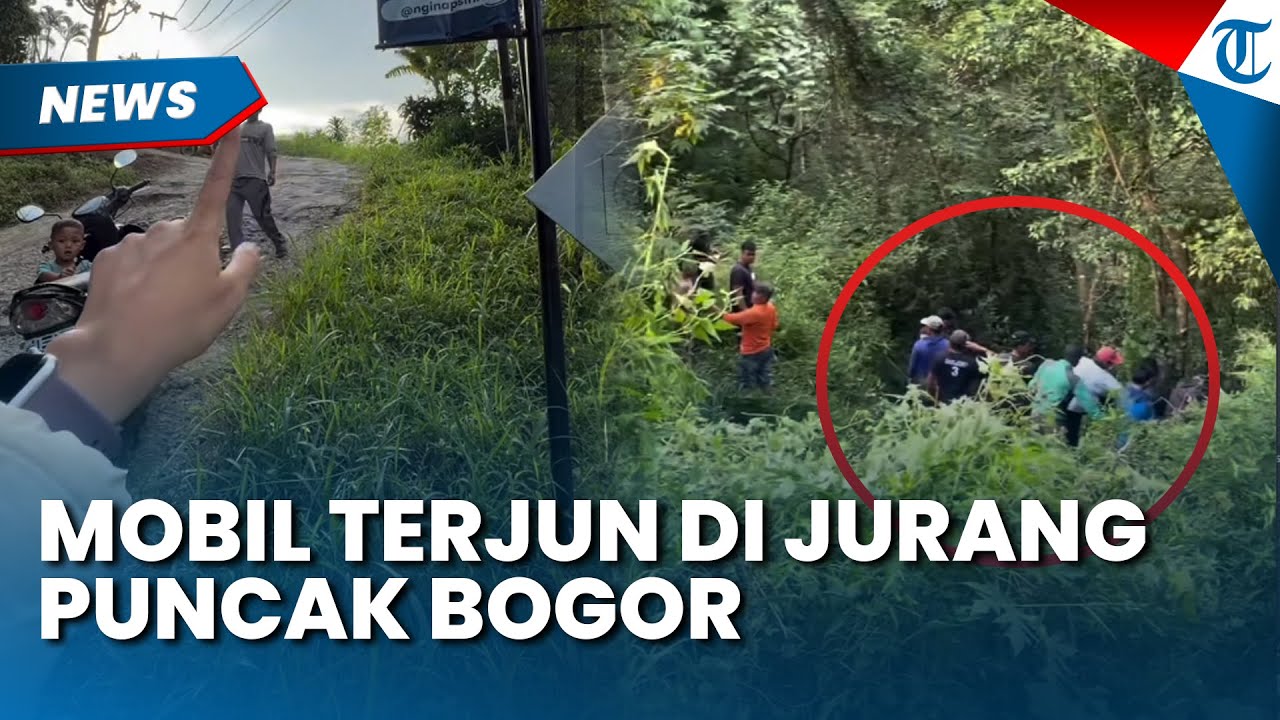 TAK KUAT NANJAK! Mobil Wisatawan Terjun Bebas ke Jurang Puncak Bogor, Begini Kondisi Para Korban