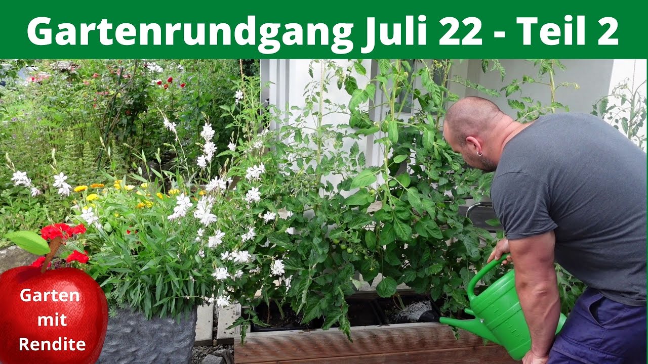 Juli 22 Gartenrundgang Teil 2 | Indianerbanane | Minikiwi