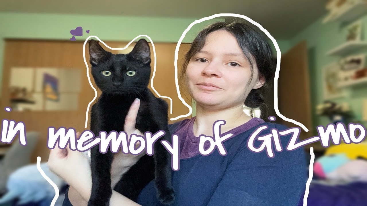 In Memory of Gizmo