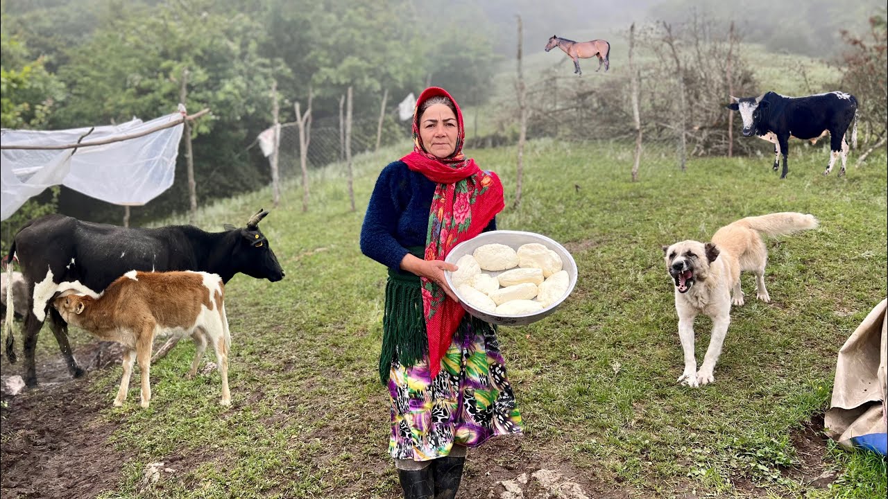 Nomadic life: Picking Forest Mushrooms after the Rain and Cooking very tasty Mushroom