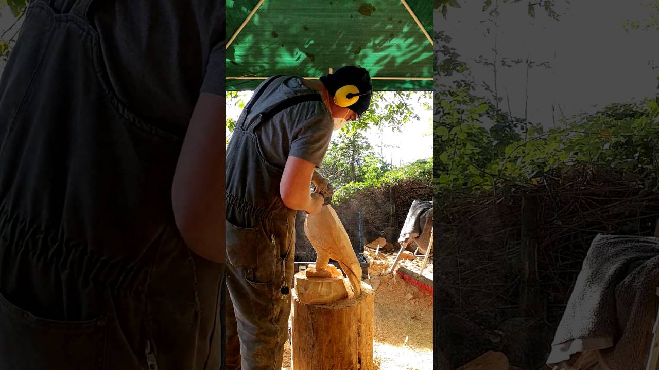 Eagle chainsaw carving time lapse