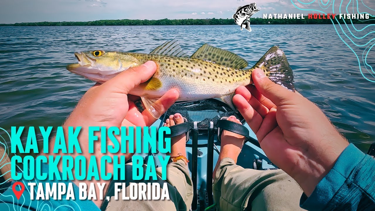Kayak Fishing Cockroach Bay | Tampa Bay, FL Fishing