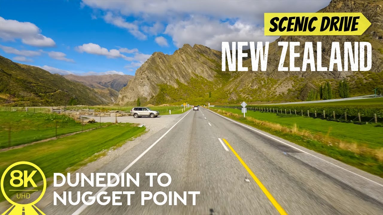 8K Scenic Roads in New Zealand - Summer Trip with Amazing Views from Dunedin to Nugget Point