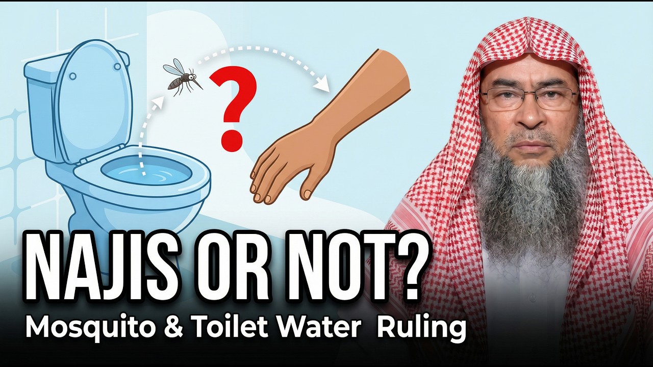 Does a Mosquito from Toilet Water Make You Najis? | Sheikh Assim Al Hakeem Explains Purity Ruling