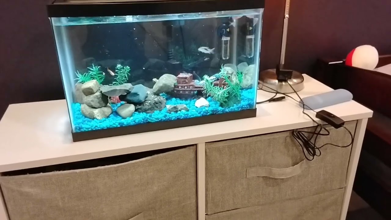 My fish XD