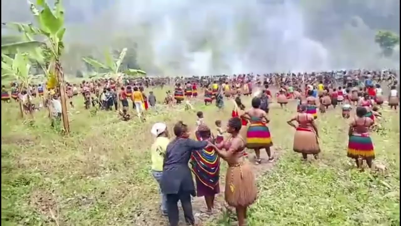 Bakar Batu Distrik Kanggime di Ukagabur | Budaya Khas yang Mengagumkan 2026.