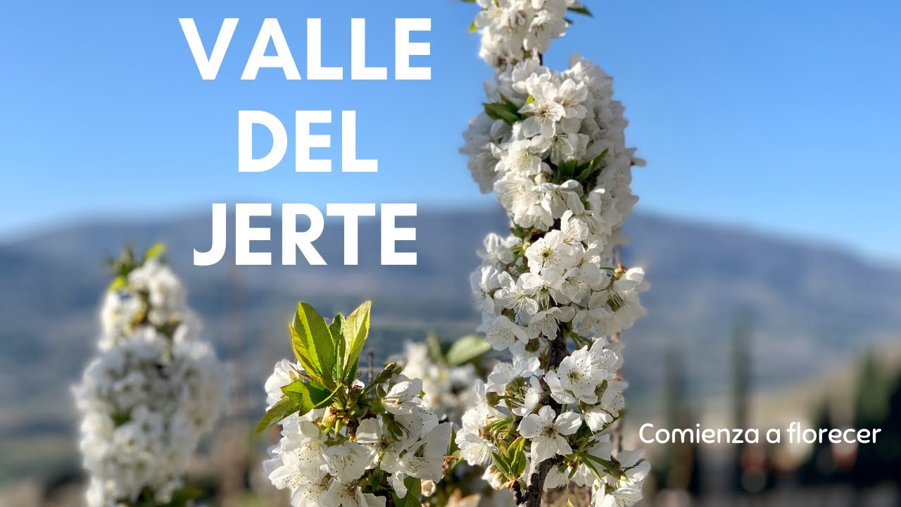 EL VALLE DEL JERTE 🍒🍒🍒