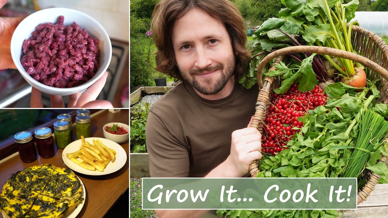 The 5 Easiest Foods to Grow at Home... and What I Make With Them!