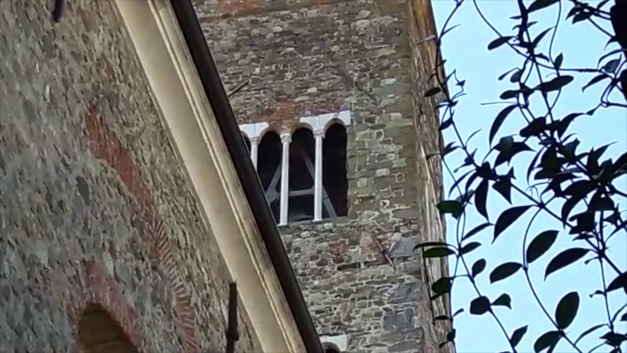 Campane della Pieve di Sant'Andrea in Sarzana (01) (SP), v.073