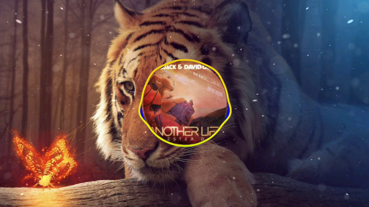 Another Life || Afrojack × David Guetta × Shivang Hardstyle Bootleg || Remix