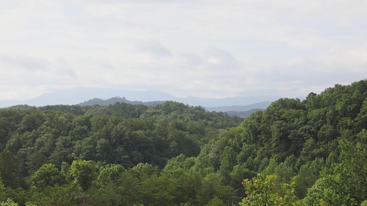 Sponsored Content: Destination Vacation: Wears Valley